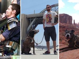 หนุ่มพาสุนัขบริการเดินทางข้ามรัฐเพื่อช่วยชีวิตมัน ตอบแทนที่มันช่วยเขามาก่อน