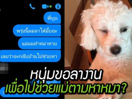 ถ้าเป็นคุณจะว่ายังไง เมื่อหนุ่มขอลางานด้วยเหตุผล ‘หมาหาย กลับไปช่วยแม่ตามหาหมา’!?