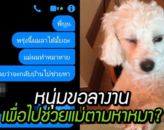 ถ้าเป็นคุณจะว่ายังไง เมื่อหนุ่มขอลางานด้วยเหตุผล ‘หมาหาย กลับไปช่วยแม่ตามหาหมา’!?