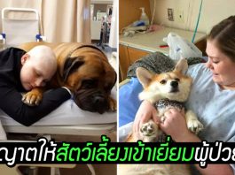 โรงพยาบาลให้สัตว์เลี้ยงเข้ามาเยี่ยมเจ้าของได้ ตามคำขอสุดท้ายของชายผู้ล่วงลับ