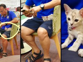 ‘ลูกแมว’ ตกจากหลังคา ได้คุณครูชุบเลี้ยง และกลายเป็นลูกรักที่ถูกกระเตงไปด้วยทุกที่