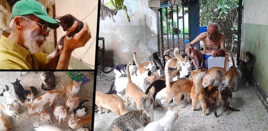 ครอบครัวชาวเวเนฯ เลี้ยงดูแมวกว่า 50 ตัว ทั้งๆ ที่พวกเขาเองก็แทบไม่มีอะไรเลย