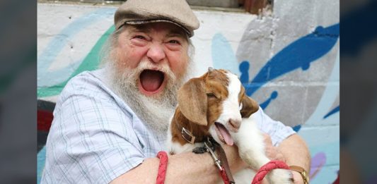 แค่มองสีหน้าสุขใจอย่างถึงที่สุดของคุณลุง ก็รู้แล้วว่าเขาดีใจขนาดไหนที่ได้อุ้มแพะน้อย