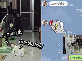 หนุ่มรีบออกบ้านเลยลืมปิดพัดลม แต่พอหันไปดูอีกที ‘แมว’ ก็ช่วย ‘ปิดพัดลม’ ให้แล้ว!?