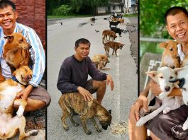 รู้จักกับ ‘ลุงศักดิ์’ ชายผู้ชุบเลี้ยงสุนัขจรจัด และสอนให้พวกมันรู้จักความรักที่แท้จริง