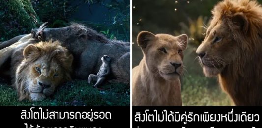 7 สิ่งในภาพยนตร์ Lion King ที่อาจทำให้คุณเข้าใจธรรมชาติของสิงโตแบบผิดๆ