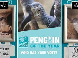 พบกับ ‘เพนกวิน’ ผู้ถูกเลือกเป็นเด็กดื้อ-เด็กดีประจำเดือน กับวีรกรรมที่สมกับตำแหน่ง