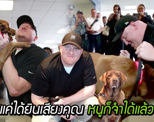 อดีตทหารกับตูบคู่หู โผเข้ากอดกันด้วยความดีใจสุดขีด หลังต้องพรากจากกันเป็นปี