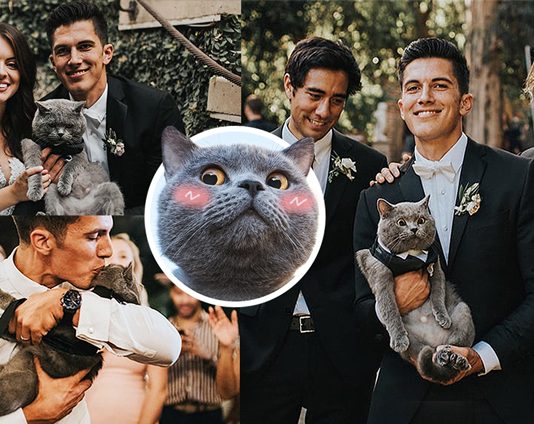 ‘คุณชายเหมียว’ ได้ร่วมงานแต่งของทาสด้วยชุดสูทสุดเท่ มาในฐานะ ‘เพื่อนเจ้าบ่าว’