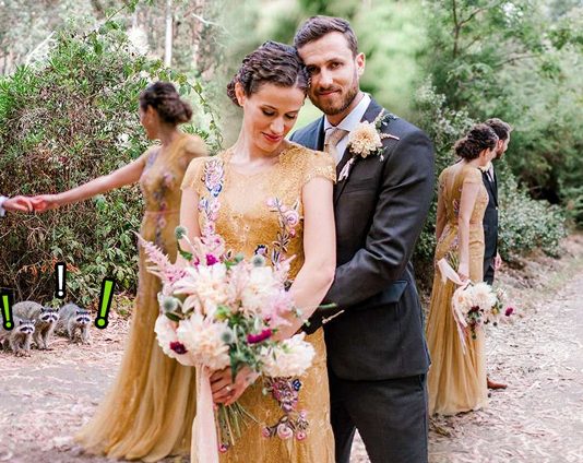 เจ้าบ่าวและเจ้าสาวโดนแย่งซีน เมื่อแก๊งแรคคูนโผล่มาจ้ะเอ๋ ระหว่างถ่ายรูปแต่งงาน