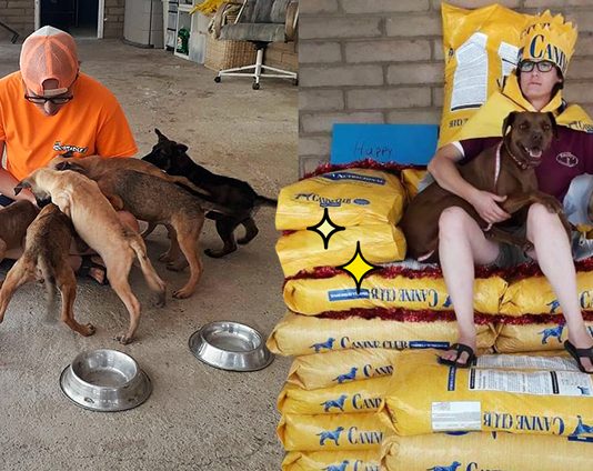 เจ้าของศูนย์ไอเดียแจ่ม ฉลองวันเกิดด้วยการขอรับบริจาคอาหารสุนัข เพื่อทำเป็นบัลลังก์