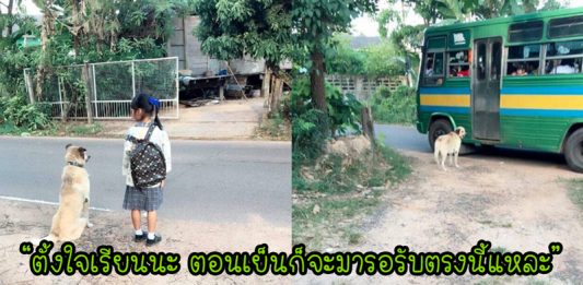 ‘พี่ตูบแสนดี’ เดินมาส่งน้องขึ้นรถโรงเรียนทุกเช้า และมารอรับกลับบ้านด้วยกันทุกเย็น