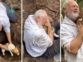 คุณลุงตามหาเจ้าหมาตลอด 3 วันที่มันหายตัวไป ปล่อยโฮดีใจเมื่อเจอมันในรังจิ้งจอก