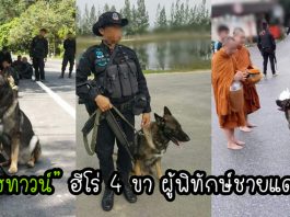 ขอกำลังใจให้ “ยอสทาวน์” สุนัข K9 ผู้รักษาความปลอดภัยในพื้นที่ชายแดนใต้มา 5 ปีแล้ว