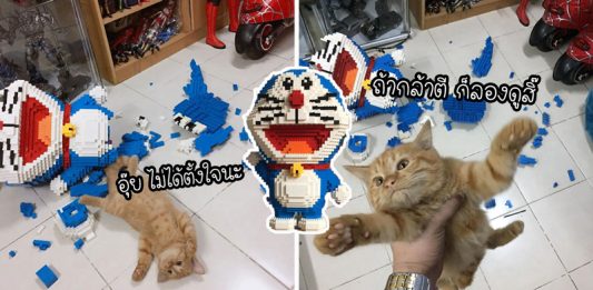 ทาสหนุ่มถึงกับเลือดขึ้นหน้าเมื่อ ‘มิ้วแสบ’ พังเลโก้โดราเอม่อน ที่เขานั่งต่อนานนับสัปดาห์
