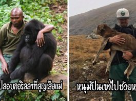 21 ภาพสุดอบอุ่นใจที่แสดงให้เห็นว่า “สัตว์โลก” ต้องการความเห็นอกเห็นใจจากมนุษย์