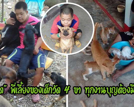 “น้องเจได” ชายผู้อาสาเป็นพี่เลี้ยงให้หมา-แมวในวัด แม้เป็นดาวน์ฯ แต่หัวใจเปี่ยมด้วยรัก