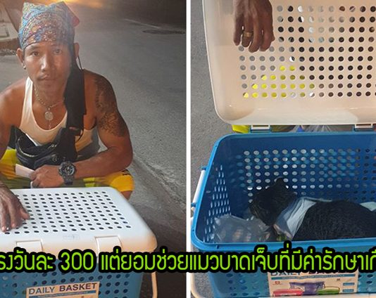 หนุ่มลาวน้ำใจงาม ช่วยแมวจรถูกรถชน แม้ไม่มีเงินค่ารักษา แต่สัญญาจะไม่ทิ้งมัน