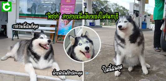 รู้จักกับ “พิชซ่า” ไซลูกสาวเจ้าของปั๊ม ทำหน้าที่บริการดีเยี่ยมจนมีลูกค้าประจำเพียบ