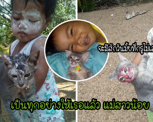 “กล้วยหอม” เหมียวแสนดีผู้ยอมเป็นทุกอย่างให้ทาสตัวน้อย จนมีเรื่องให้ขำทุกวัน